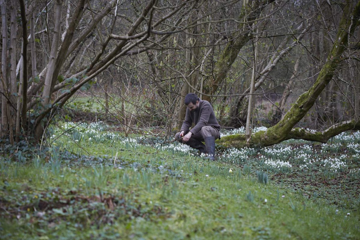 ArneMaynard's tweet photo. We have just a few places left on our Natural Woodland course on 11 May with Arne at #Alltybela https://t.co/cIl9JgTREF https://t.co/rXyog0Zf1j