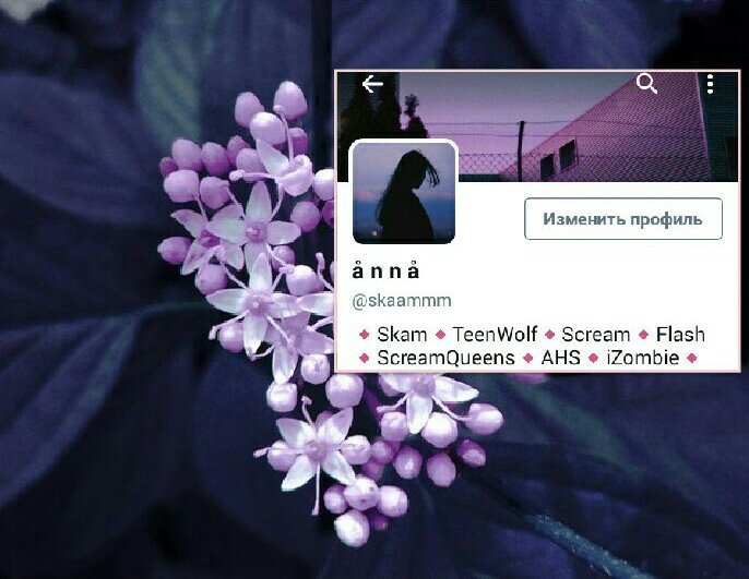 _kissesback_'s tweet photo. 🌸сделаю вам такую сигну🌸
✨рт+фоллоу ми
#ГробовщикФолловитВсех
#ДжеймсФолловитКаждого https://t.co/ViMRhLuIYN