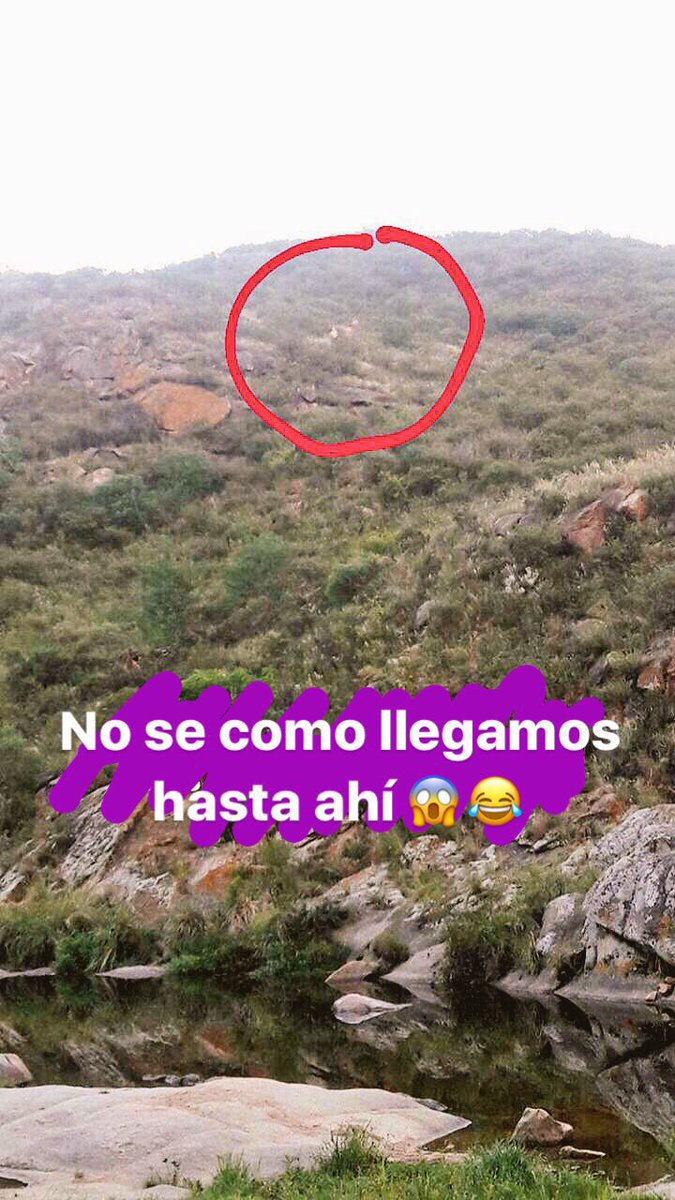 cryptoramote's tweet photo. Y así escalamos 😱😂 https://t.co/1pIl2i18nl