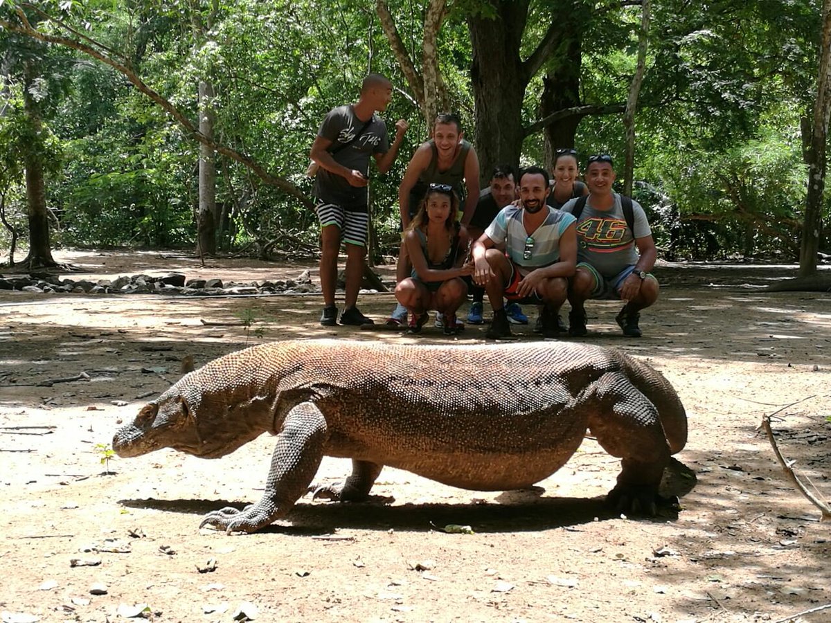 Un saluto dal dragone di Komodo 👀 
@Komodo national park 
Labuan Bajo