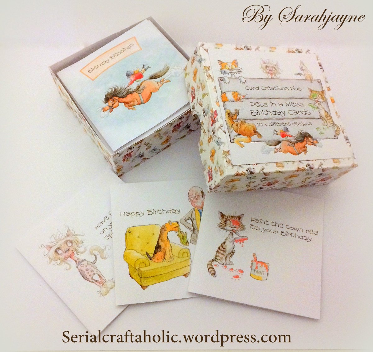 Craftaholic13's tweet photo. Box of 10 Mini Cards I made for todays shows over at @CreateCraftTV will be on again today at 2pm Pets in a mess by Card Creations plus xx https://t.co/CYER6Ssj1i