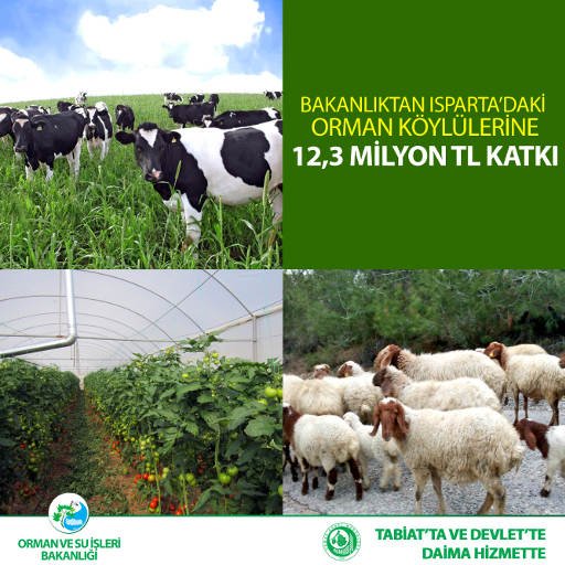 Orman ve Su İşleri Bakanlığı Isparta’daki Orman Köylülerine 12,3 Milyon TL Katkıyla Desteğini Sürdürüyor…bit.ly/2kAllic