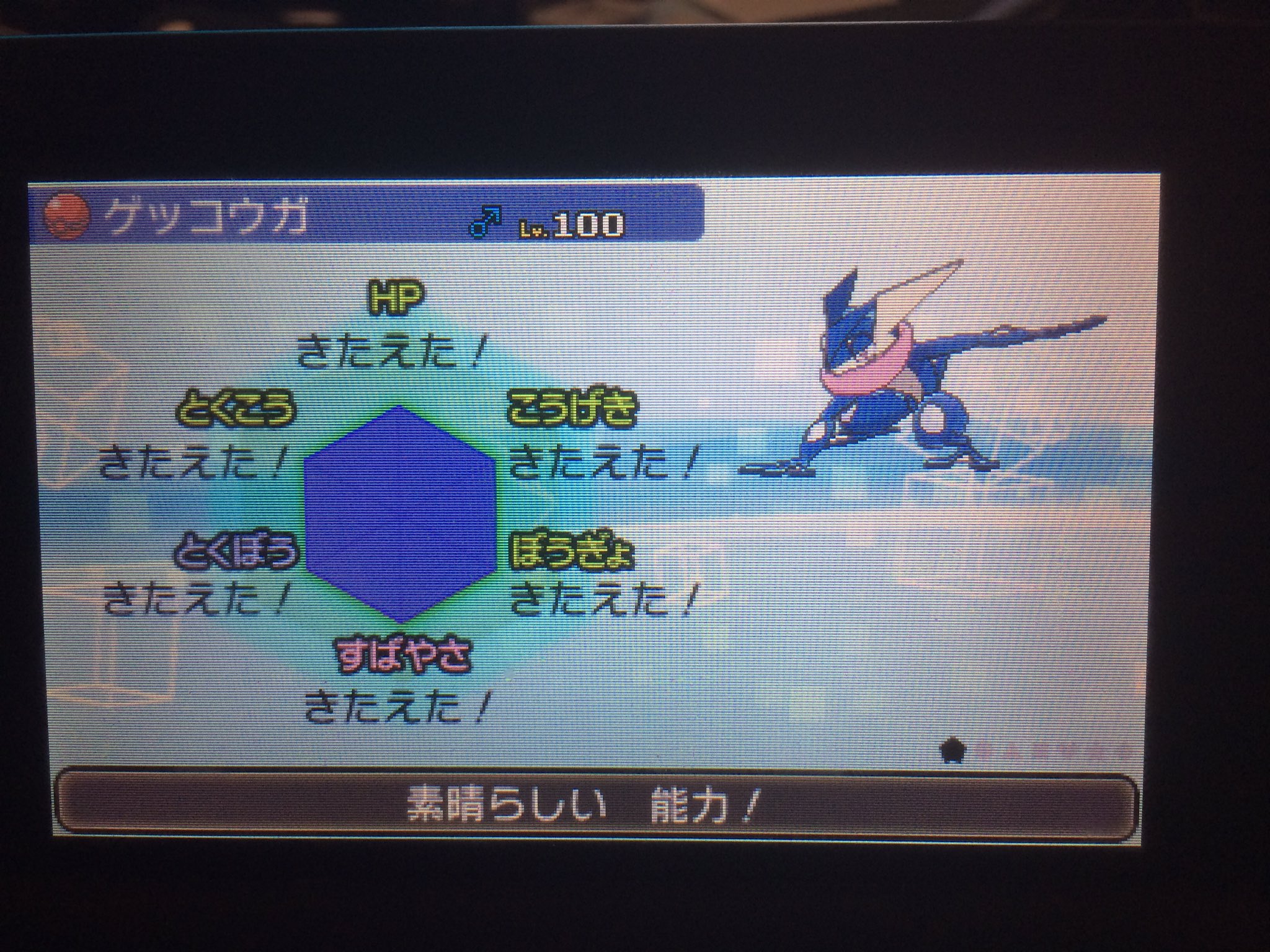 マーボー オメガルビー Machaki Twitter