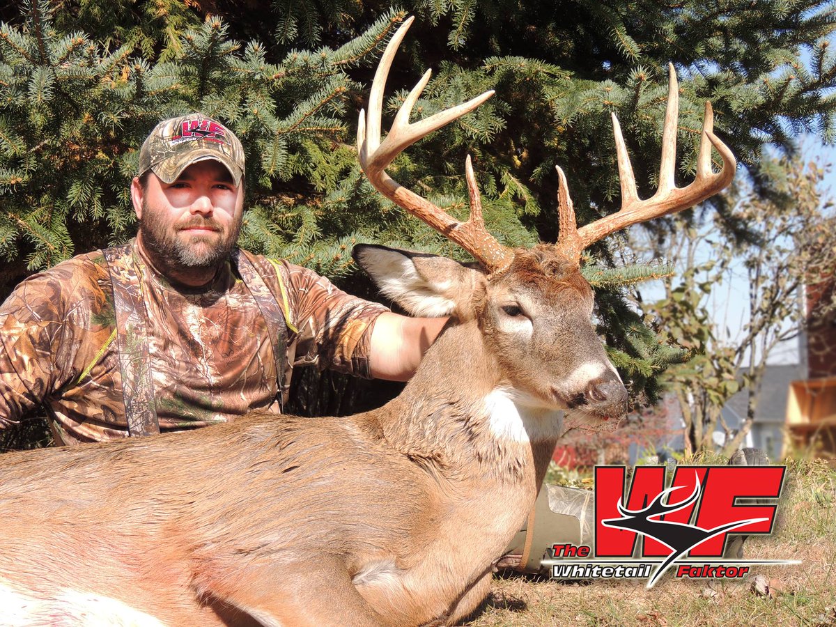 TWFshow's tweet photo. **New Episode Alert** Double Trouble: Two Big Bucks down! #mastins #morphpro #redneckhuntingblinds #realword https://t.co/DdYPEggUdp https://t.co/IDhgw3OxFN