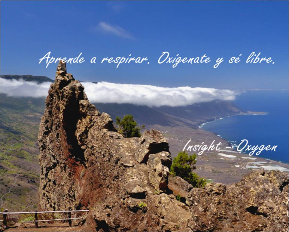 insightglobale's tweet photo. #Insight #Breathing #Oxygen #Breath #Wellness #Health #Freedom #Air #Life #Free #Oxigeno #Libertad #Salud #Bienestar #Vida #Saude #Liberdade https://t.co/87VjOA8qPw