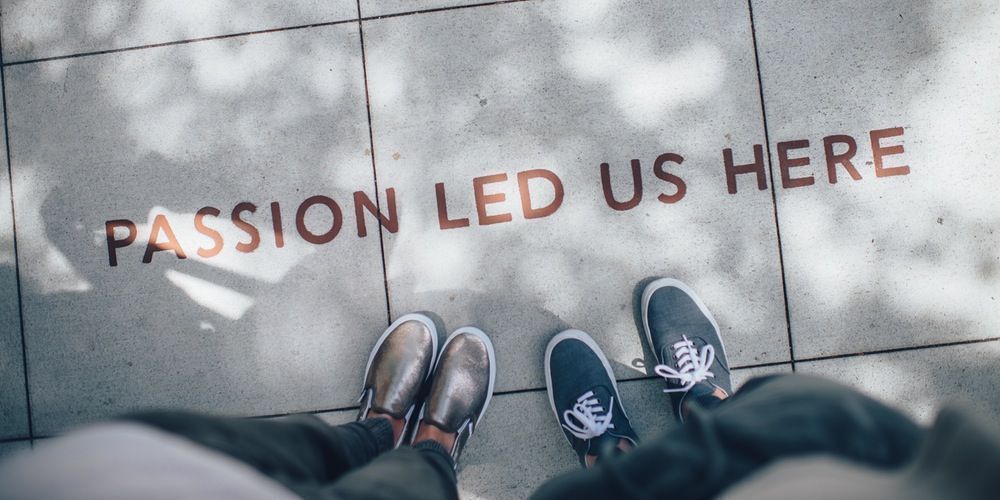 Zebra People tweet media