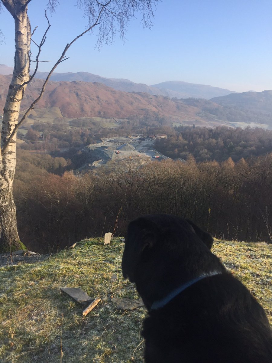TravelExpedient's tweet photo. It's not bad this view, Happy Friday! #friday #wanderlust #happyfriday #travelgram #travel #workfromhome #workplace #office #langdale #Lakes https://t.co/DMedWx4746