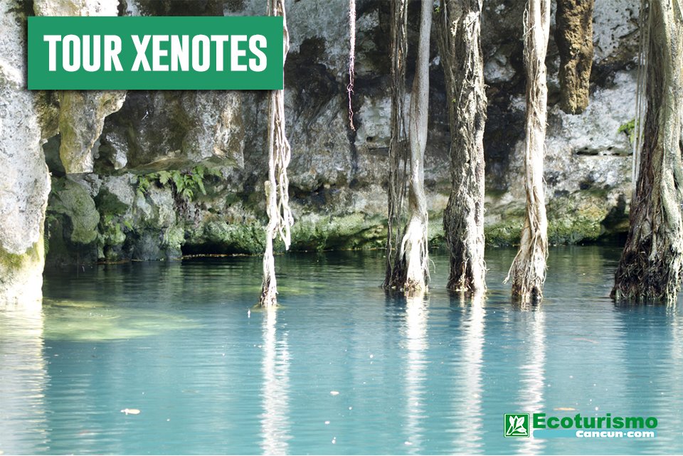 ecocancun's tweet photo. What are you waiting for? Amazing adventures are just around the corner. Book a tour👇
📲+52 1(998)8023137
📲+52 1(998)2403046 https://t.co/e3LoT6POdo
