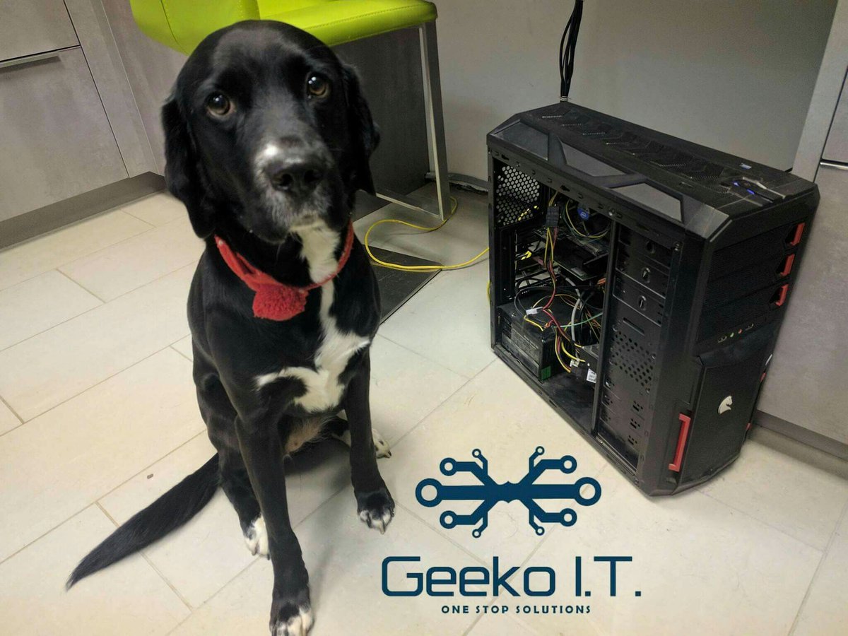 geeko_it's tweet photo. Are we the only computer service in town that specifically focuses on #dogpower? 😂 #Nessy #kingslynn @KingsLynnLive @DT_EDUC_EANGLIA https://t.co/TVBMwJw1kv