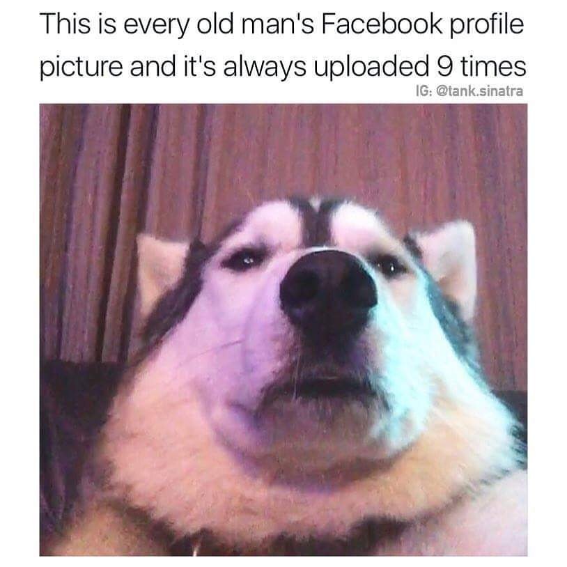 Vibedose's tweet photo. Every old man's profile picture 😂😂😂 https://t.co/siWX12bA7U