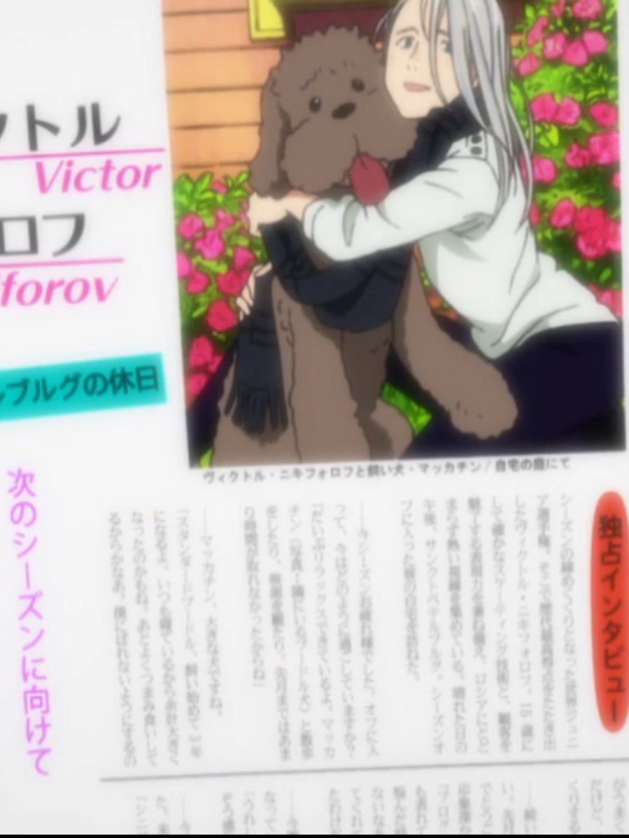 ট ইট র ほよ この雑誌の取材を受けたのがヴィクトル15歳の時で その時マッカチンを飼い始めて3年って言ってたからマッカチンは今 約15歳 え まってまってマッカチン ユリオと同い年なの そしてつまみ食いはその時からしてる