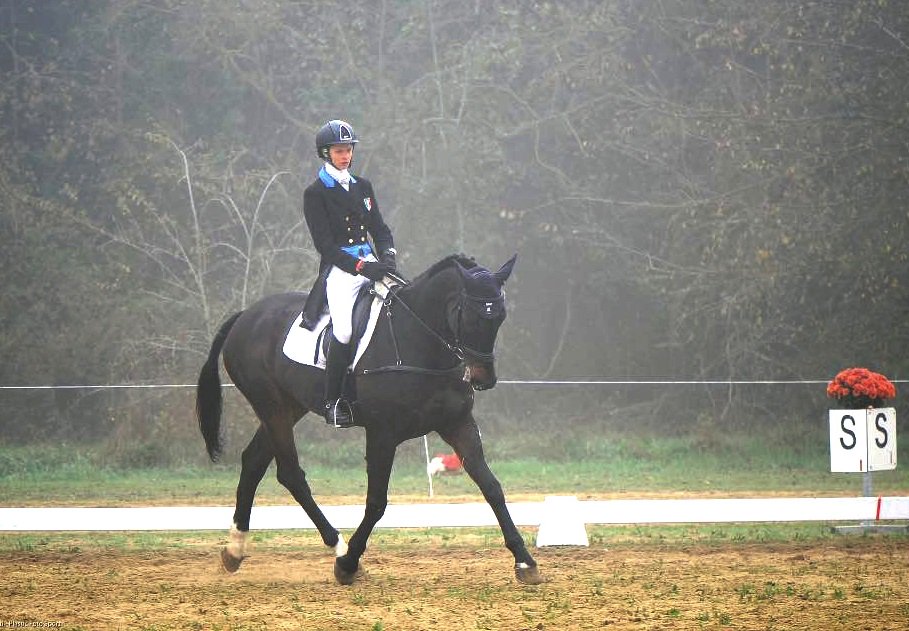 Equestrian_In's tweet photo. https://t.co/mOEX7ee8zm #stage #dressage con Zilla Pearse per gli #eventers #eventing #completo #intervista a Zilla Pearse!  @co_mantici https://t.co/euVVq0XgZR