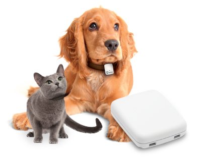 softwaresarka's tweet photo. Check it out here!
#PetTrackingDevices #Dogs #Cats
https://t.co/9M3MGkWabS https://t.co/PDGp6eLFoe