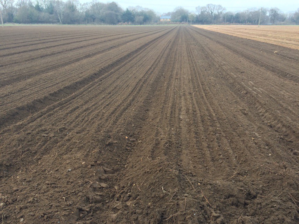HerbFreshLLP's tweet photo. First drilling of 2017..... here we go again https://t.co/JgdO5NSXiU