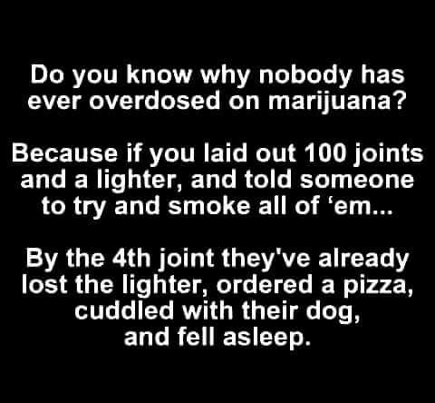 BumblebeeDannie's tweet photo. #420life https://t.co/noGL4HwGzu