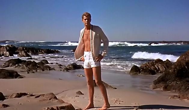 Happy birthday Troy Donahue 