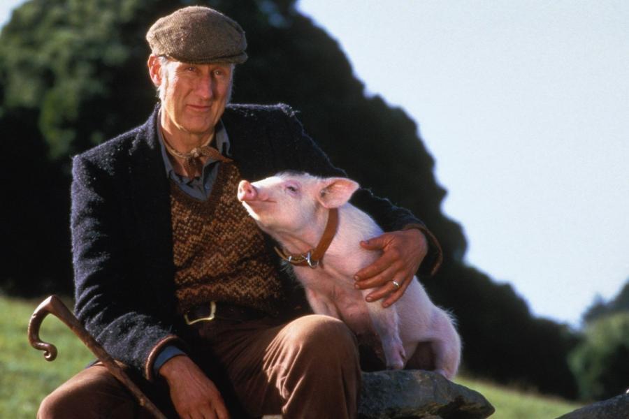 Happy birthday to one of our finest character actors, the wonderful, Oscar-nominated James Cromwell! 