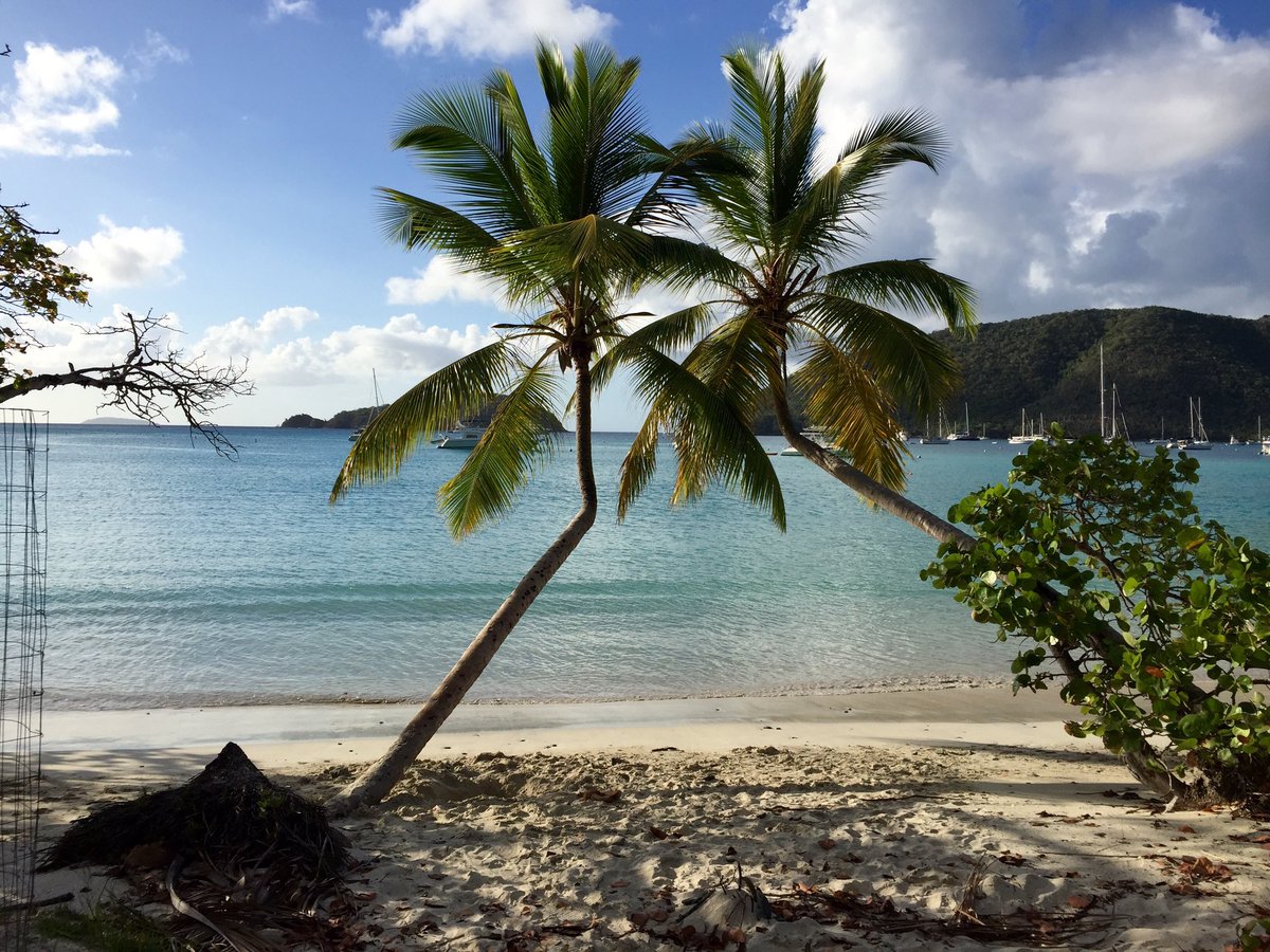 RockyQ1's tweet photo. Help me reach my goal! It's  easy! Click link, get your free account and start saving when you travel! retweet https://t.co/Qgu0bAm5jW… https://t.co/X6QLMfdAS0