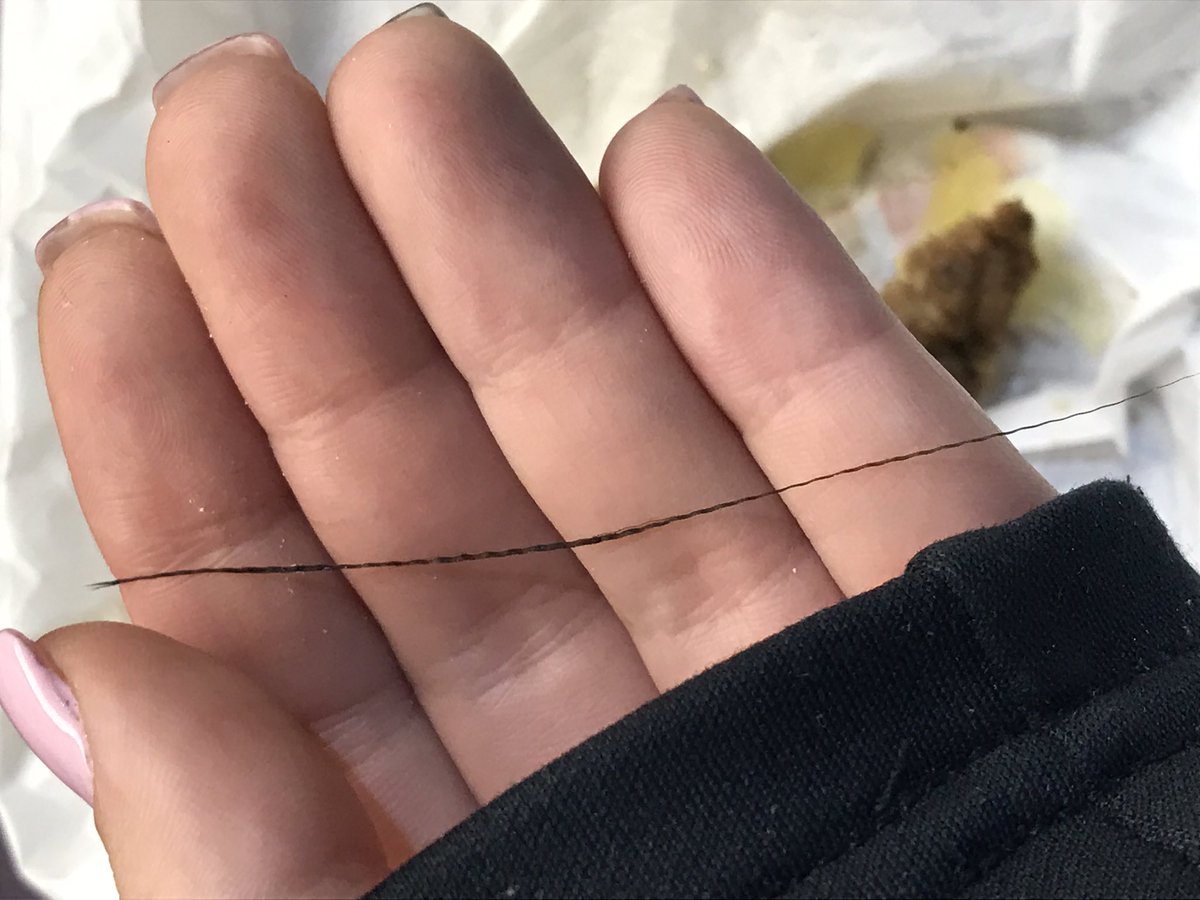 carolinevilla's tweet photo. Found this in my breakfast sandwich after eating half of it 🤢🤔 @DunkinDonuts WHAT IS THIS #isitweave #isitfood #isitgarbage https://t.co/HfXp7pLYwR
