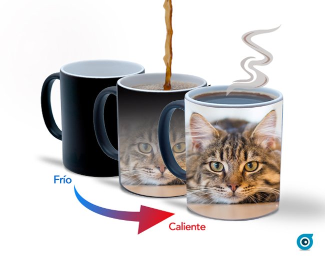 ¿Conoces nuestras tazas mágicas? Mira! #Getsingular #Taza #Tazas #Mug #Cat #Felizviernes #FelizFinde #AdoptaSinDistinción #CatsOfTwitter