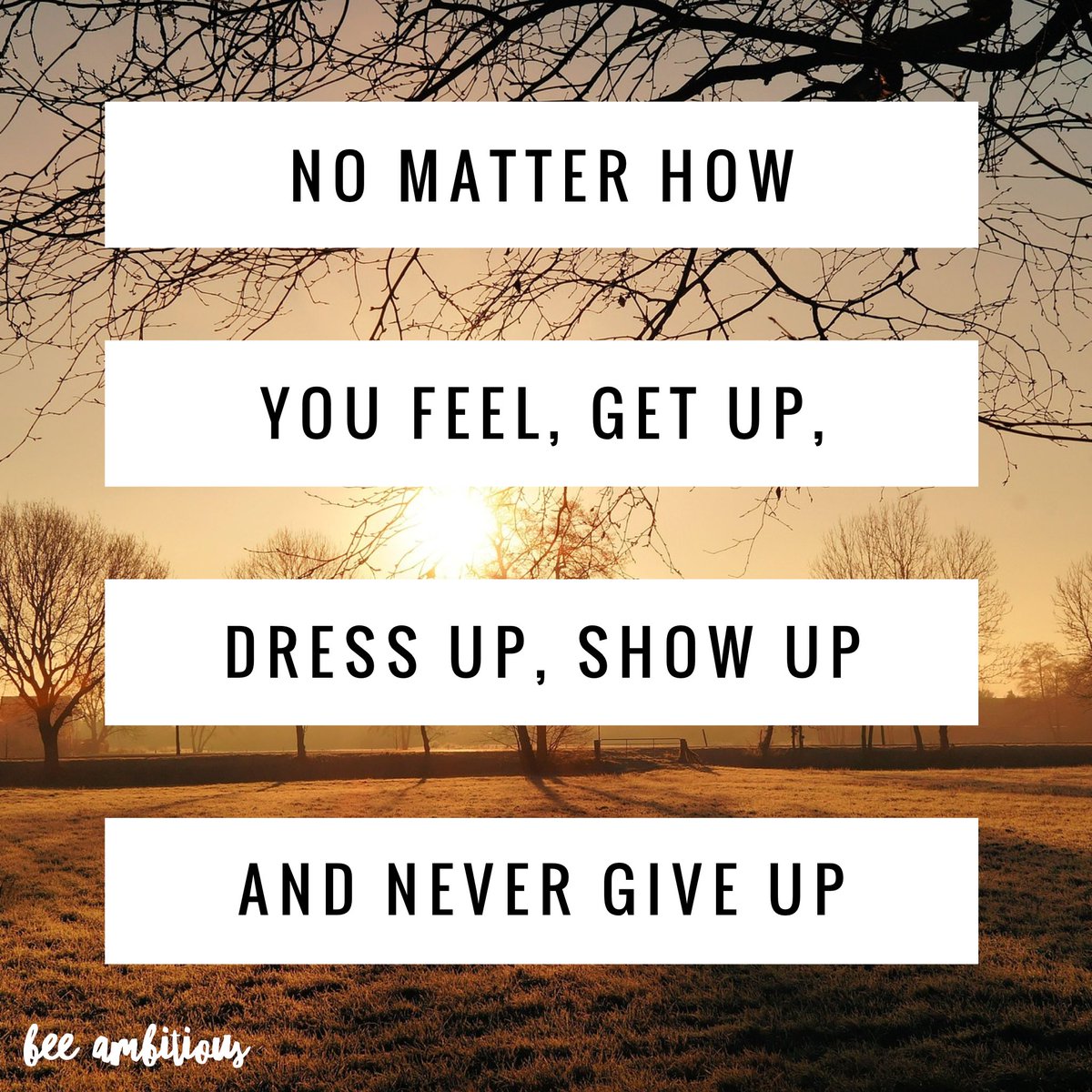 BeeAmbitiousUS's tweet image. Rise and Shine! ☀️ #getup #dressup #showup #nevergiveup