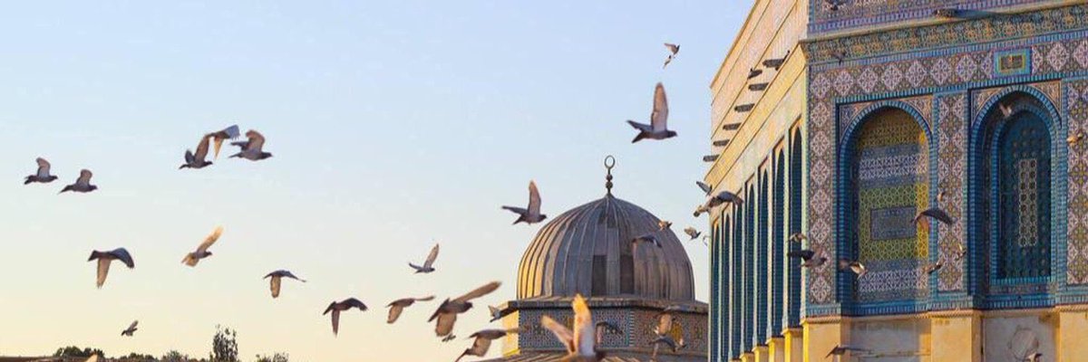 GenedyMustafa's tweet photo. ماهو الوطن؟
هو الشوق إلى الموت من أجل أن تعيد الحق والأرض
ليس الوطن أرضا
ولكنه الأرض والحق معا
الحق معك والارض معهم
#انتي_في_القلب_يافلسطين💟 https://t.co/JuIG1oJCZL
