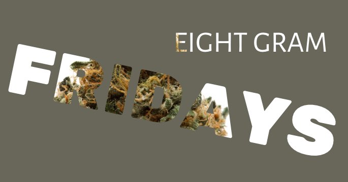 kindprovision's tweet photo. All quarters are weighed to 8 Grams every Friday at #Thirdcoastypsi #ypsilanti #medicalmitten https://t.co/a9QZYtUAlk