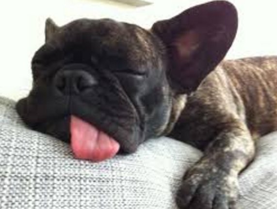 How we are feeling after <a href="/toyfairuk/">Toy Fair</a>