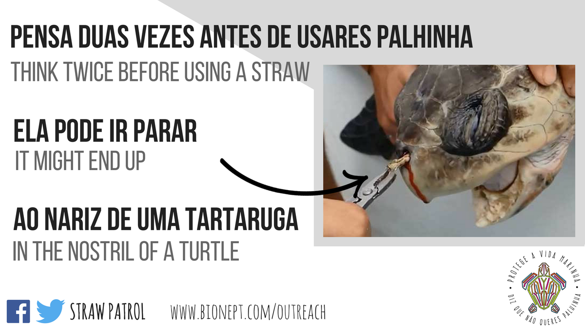 StrawPatrol's tweet photo. Time to fight #disposable plastics! #PlasticKills #NoMoreStraws #marinedebris #GoStrawless #SaveATurtle https://t.co/NB0LAkwCzp
