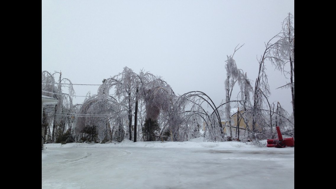morais_josee's tweet photo. Quels dégats suite à cette tempête de verglas! Les arbres et les fils brisés chez mes parents  #icestorm2017 #NB https://t.co/qeWmEHUX6j