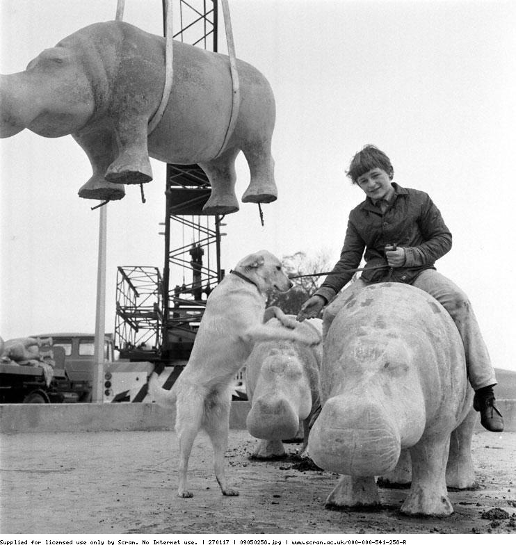 The Hippos arrive in Glenrothes