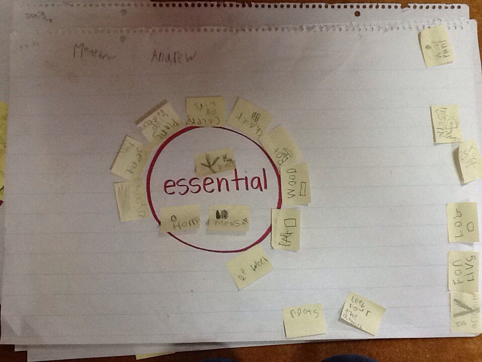 Kacey_Molloy's tweet image. Stage 1 of #visiblethinking routine #GenerateSortConnectElaborate - for UOI plants are essential to life on earth #pypchat #ICSAddis