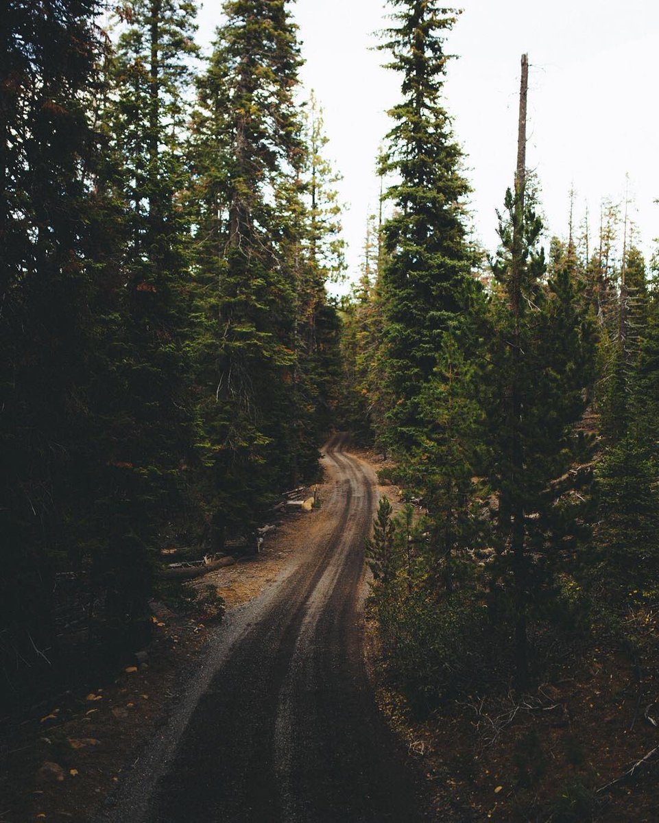 LittleCityLove's tweet photo. "We make a living by what we get, but we make a life by what we give." -- Winston Churchill (📷 Spencer Backman) #quoteoftheday https://t.co/GTBkeSCz6r