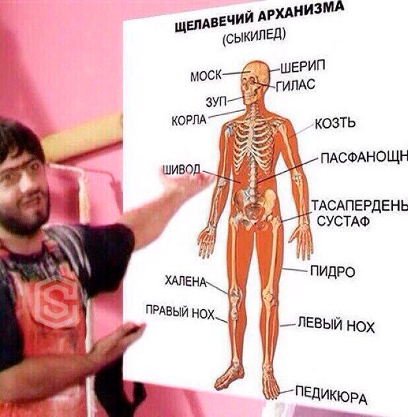PropoebNIK's tweet photo. УЧУ АНАТОМИЮ !!!!! https://t.co/mBdBf60nrV