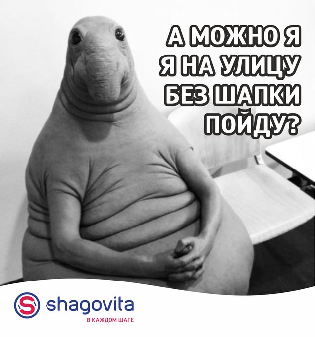 Посмотреть изображение в Твиттере