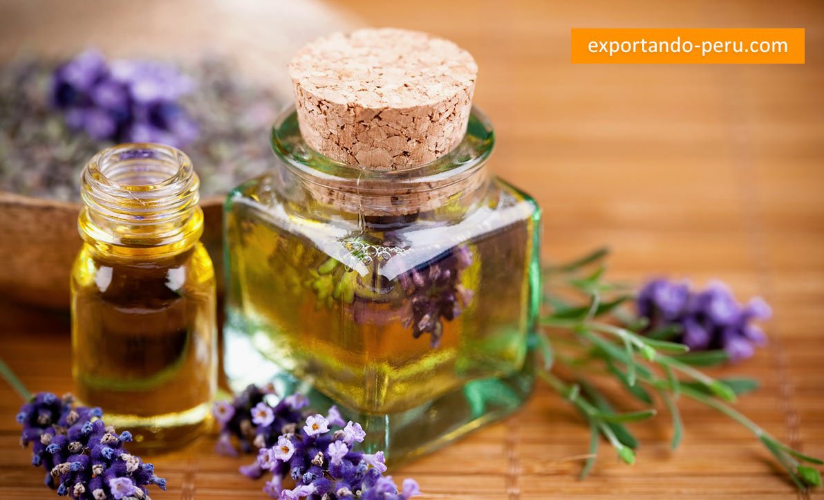 exportando_peru's tweet photo. Aromaterapia para ser más productivo
https://t.co/ClDdOTKMTC https://t.co/VucPPeiSob