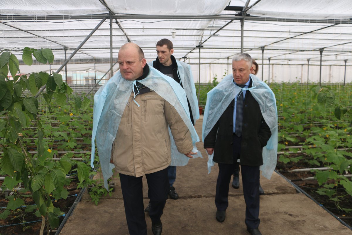 svzhilenko's tweet photo. А вот Эдуард Кудрявцев выращивает огурцы в закрытом грунте на площади 1 га. Снимает два урожая в год. В 2018 году будет расширять теплицы. https://t.co/vD5Zzk3AEP