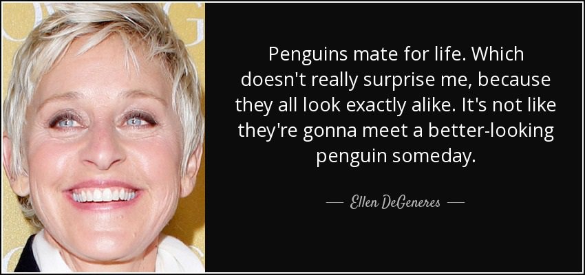 YOLOPenguins's tweet photo. Not cool https://t.co/2kIzra9X3Y