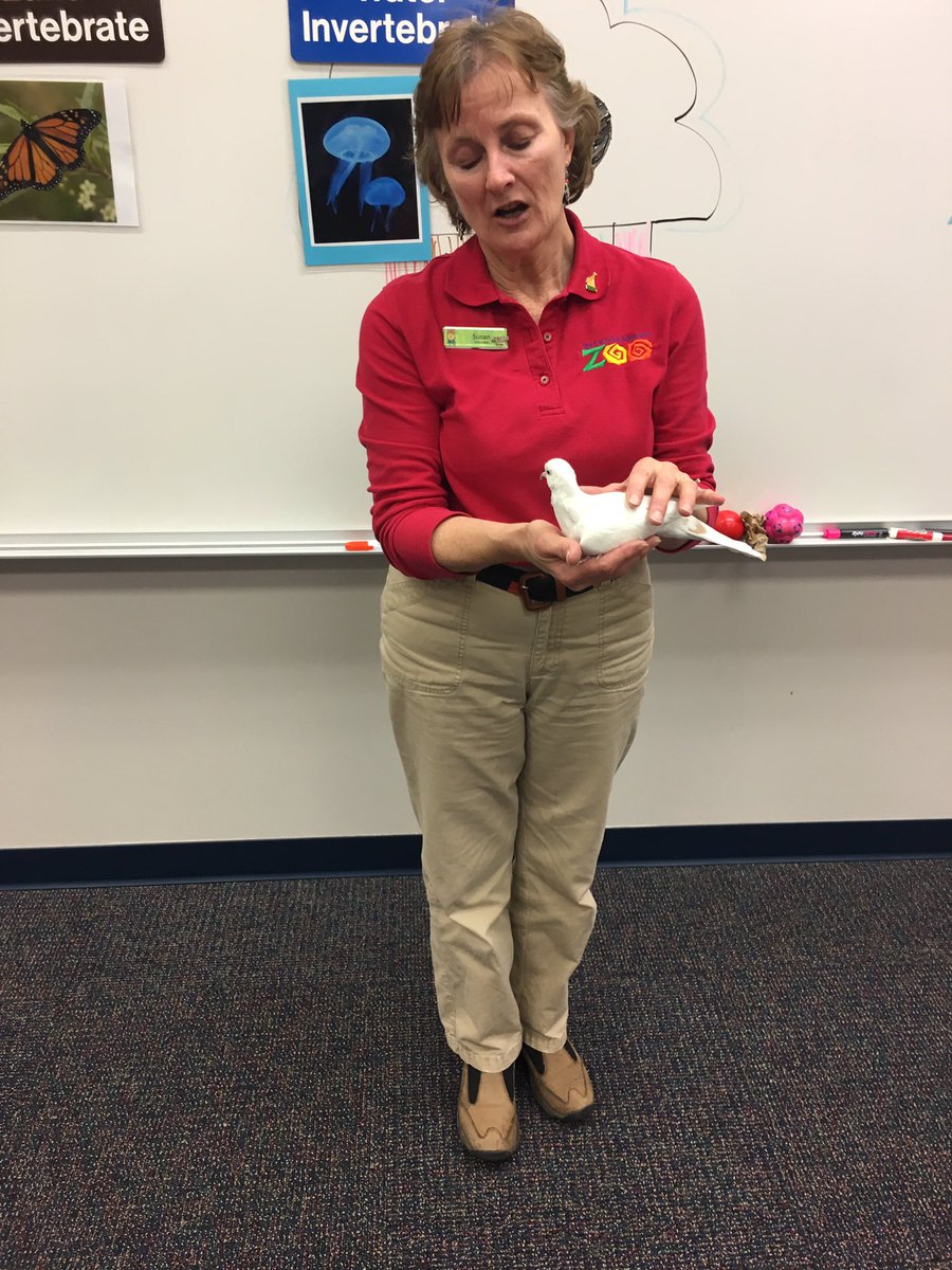 AES_MrsClupper's tweet photo. @fwkidszoo thanks so much for coming to our school! #classifyinganimals #zoomobile @AESMrsGass @AESPanthers https://t.co/UxCvZ38Udk