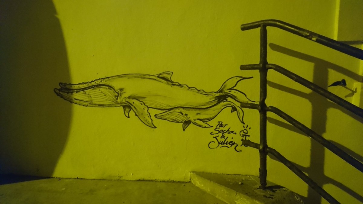pauline_tipot's tweet photo. Les baleines volantes du projet Beluga ont bien envahi #Biarritz ! #SmartFipa #FIPA2017 @StorycodeFR @Ina_audiovisuel @SmartFipa https://t.co/QYofgylXjY