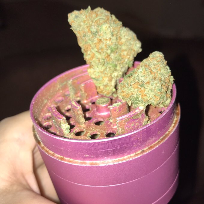 IG deleted this picture from my page this morning even though all I post is weed pictures.... 😑🙄 https://t<a href="/tag/innout"class="tags"><span>#innout</span></a>