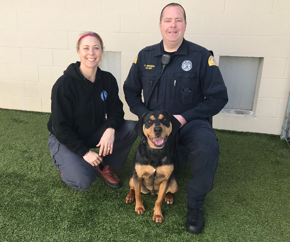 Meet the newest member of #YourWSP K9 Unit! Boomer passed initial testing <a href="/WenatcheeHumane/">WVHS</a> &amp; will begin training in February <a href="/wastatepatrol/">WA State Patrol</a>