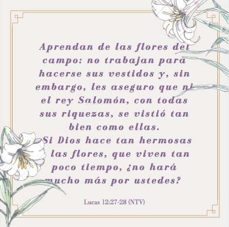 CBN_MEXICO's tweet photo. 🌸 https://t.co/nq0NnFg04k