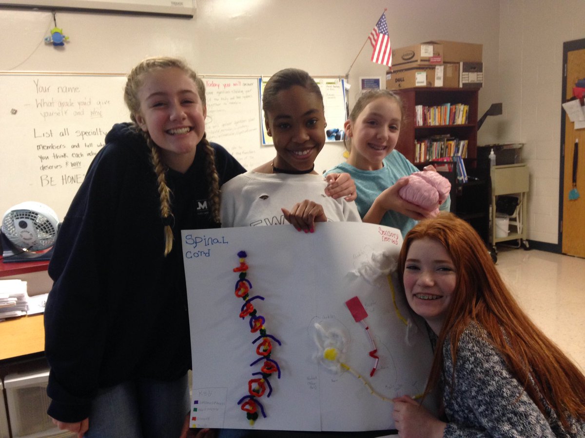 meskillscience's tweet photo. Learning about neurology with models of the brain and spinal cord #codeblue #hrmspatriots #science @hrmspatriot https://t.co/0sjo6zXFn0