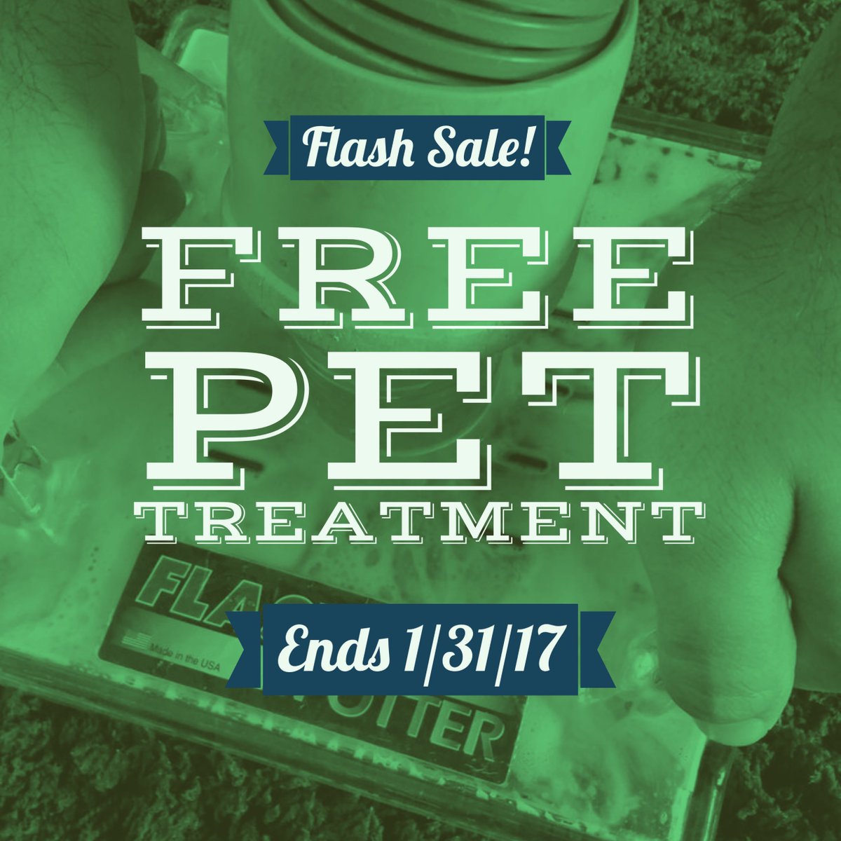 Perfectoneclean's tweet image. Schedule carpet cleaning and get This! Slots are limited and filling up! perfectoneclean.com