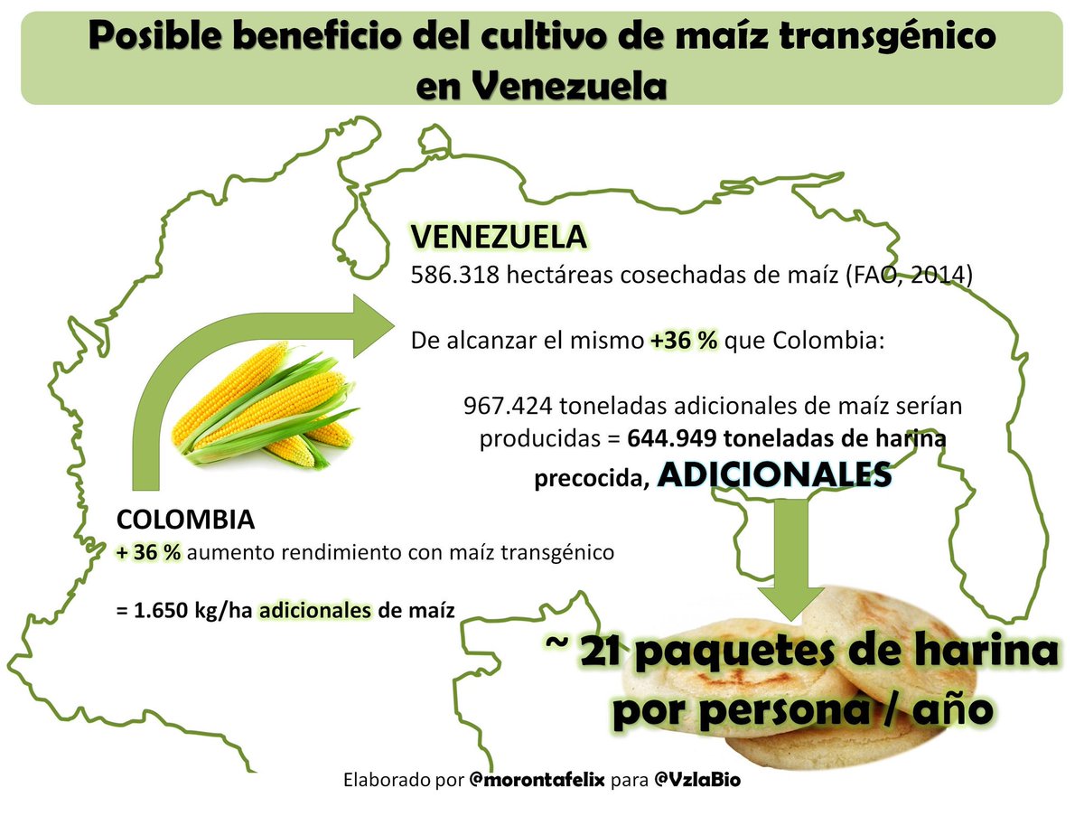 vzlabio's tweet photo. El debate de los #transgénicos en Venezuela debe ser serio, político, científico y prioritario. ¡El pueblo necesita comida! #RT https://t.co/fin3RJf7sF
