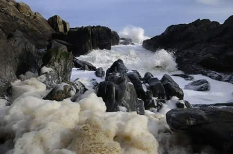 Poll Gorm, Myrtleville 27th Jan @PhotosCork @PhotosCork @deric_hartigan @MyrtlevilleS @corktourism @openwaterswim @Carrigdhounnews