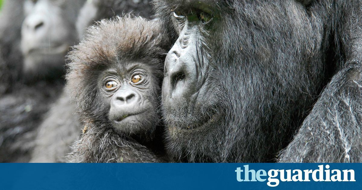 SAFCEI's tweet photo. Some beautiful images from the web of life https://t.co/pKjgLqVl6Y #CreationCare #EarthKeepers https://t.co/wdm4JYeZcZ