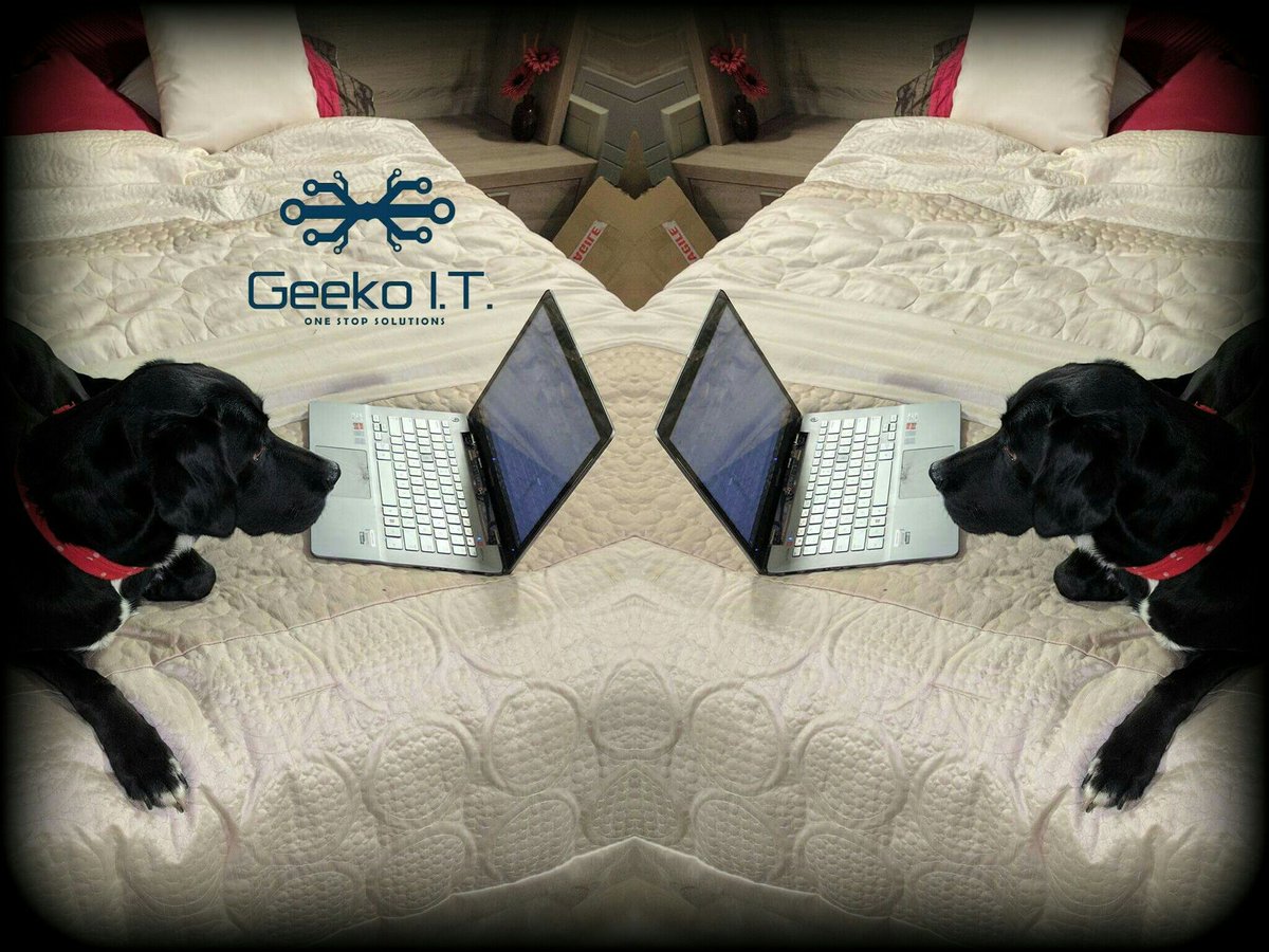 geeko_it's tweet photo. #Nessy works double time today. #GeekoIT #kingslynn @KingsLynnLive @DT_EDUC_EANGLIA #ITservice https://t.co/ZrmAwQImMo