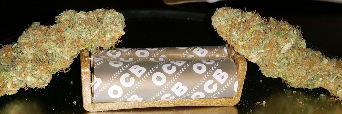 AcadianCanna's tweet photo. Home grown Ak-49 #mainebringstheheat #207stoners #mainecannabis #mainetrees #medicinal #4thcorner #ocbpapers #nugporn Please like and Share https://t.co/URoMMFSC0V